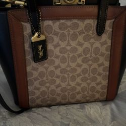 Classic Coach Bag