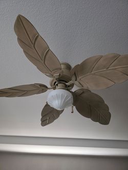 Ceiling fan