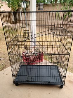 3 level cage