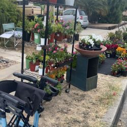 Huge Garden Sale Flowers And Plants !!!🌷🌸🌺🌼