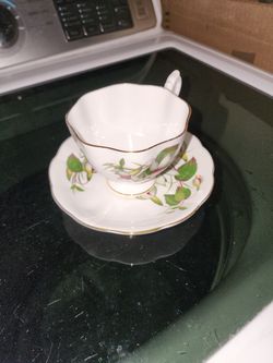 Vintage English Regency Tea Cup & Saucer ("Fuchsia" Porcelain Bone China)