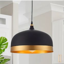 Modern Black Pendant Light - brand new