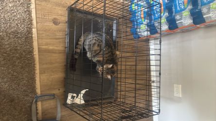 Cage for cats or dogs