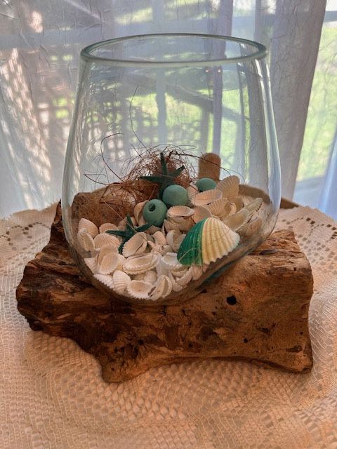 New, Firm, BL#1 Molten Glass on Natural Teak Driftwood Terrarium 7-Inches Tall with Blue Beach Decorations