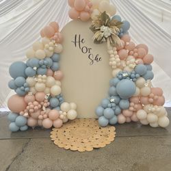 Balloon Backdrop 