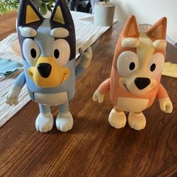 Bluey & Bingo 