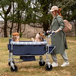 New Safety 1st Summit Sprint 4 Wagon Stroller