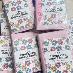100 Day Envelope Challenge Savings Binders Bundle Of 8 