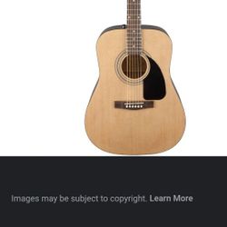 Fender AP-100