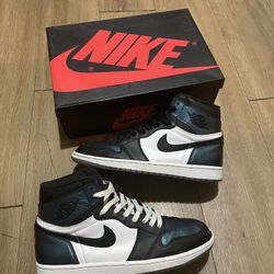 Chameleon Jordan 1s