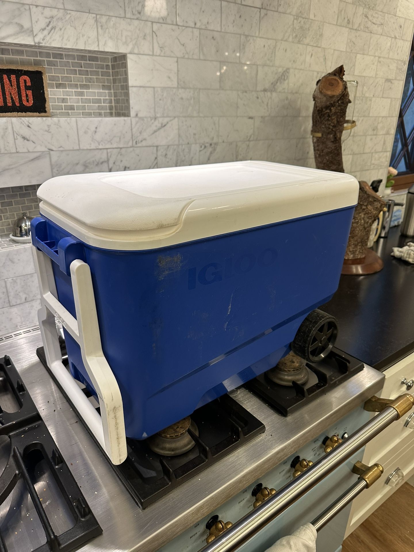 Igloo Cooler