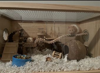 Animal Habitat/ Hamster Cage