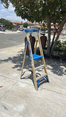 Platform Ladder