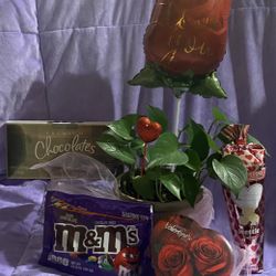 Valentine’s Day gift real 🪴 Plant