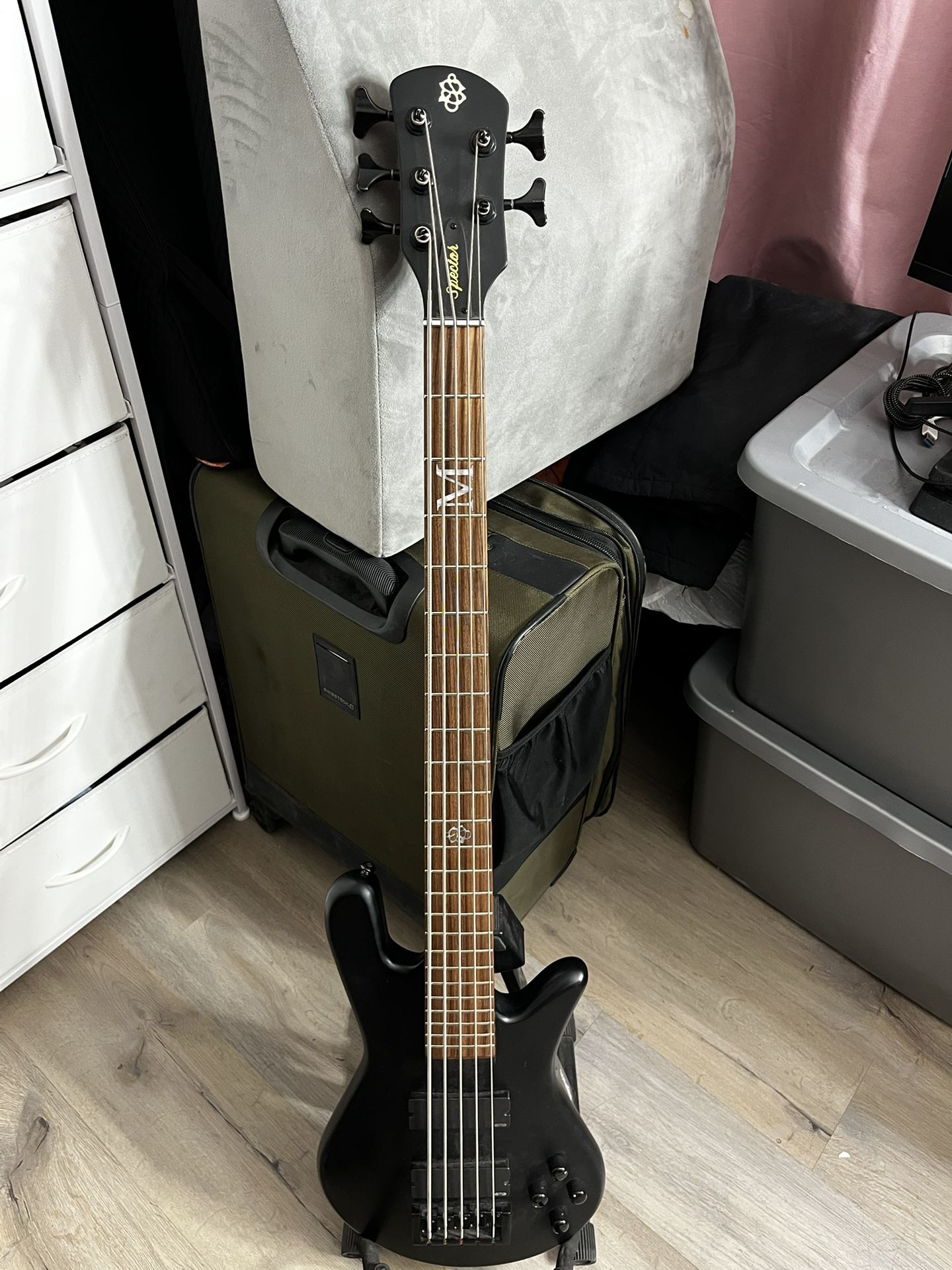 Spector 5 String Bass