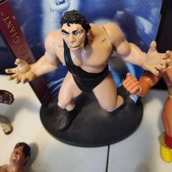 WWE WWF Wrestling Figure Collection