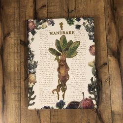 Mandrake Harry Potter Canvas