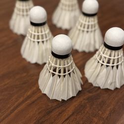 Professional Badminton 🏸 Feather Balls, White, 6-Pack