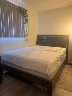 Dark Brown Wood Queen Bed Frame
