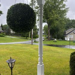 Topiary Balls    