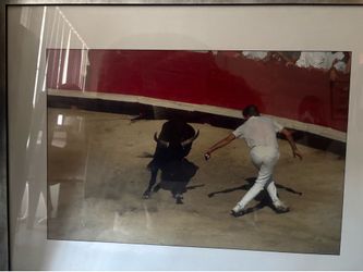 Framed Bull Fighter Picture