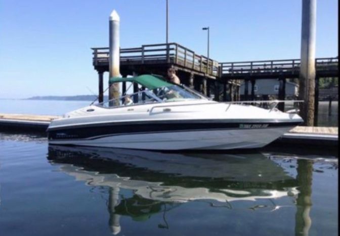 1996 chaparral Model 1935