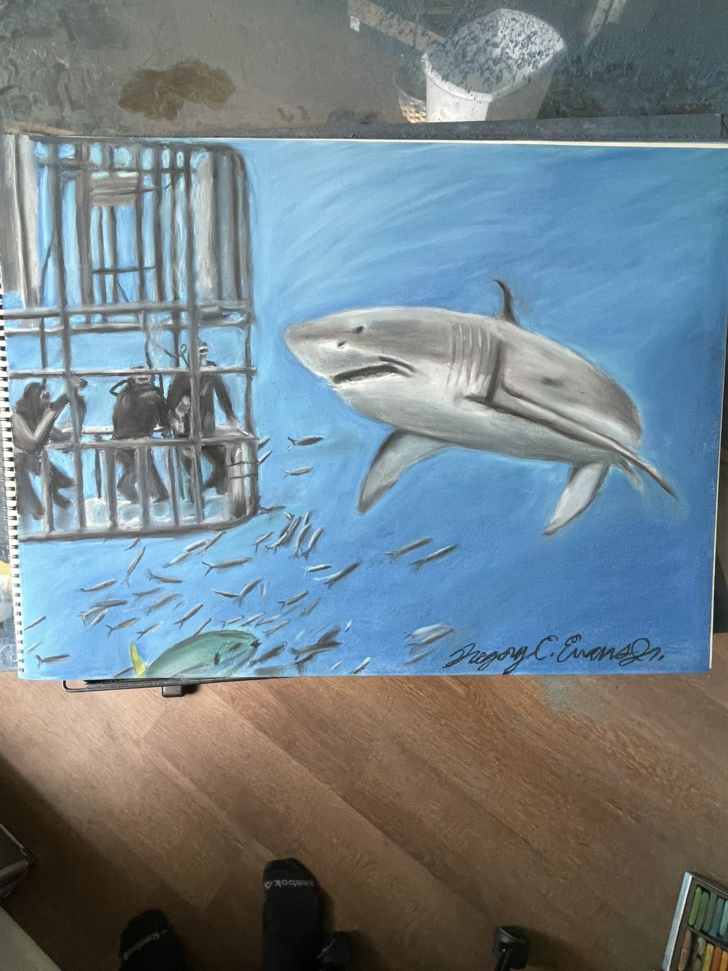Cage Diving