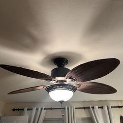 Hunter Ceiling Fan With Light And Wicker Blades