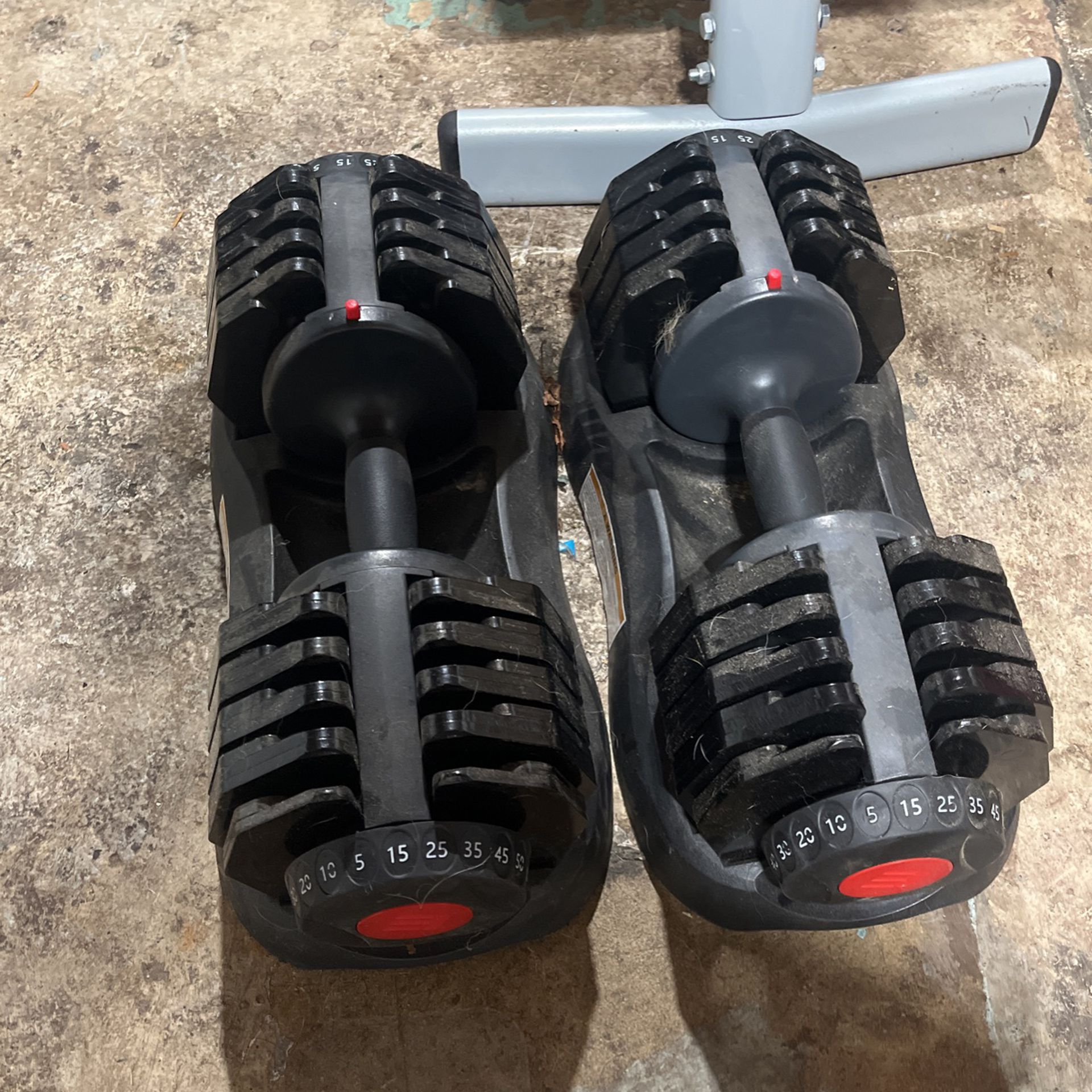 Barely Used Adjustable Weights