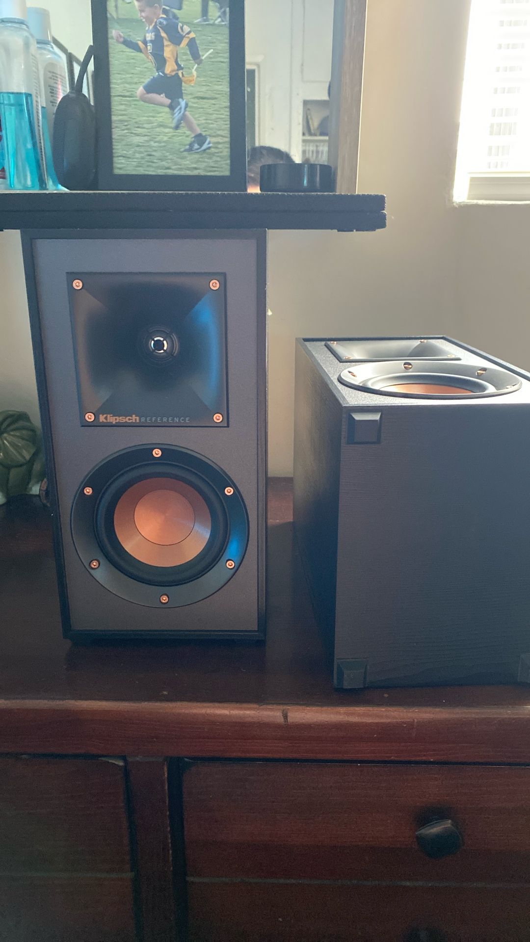 Klipsch R41 M Speakers