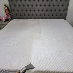 Steam Cleaner 