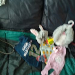 Small Puppy Clothing Bundle