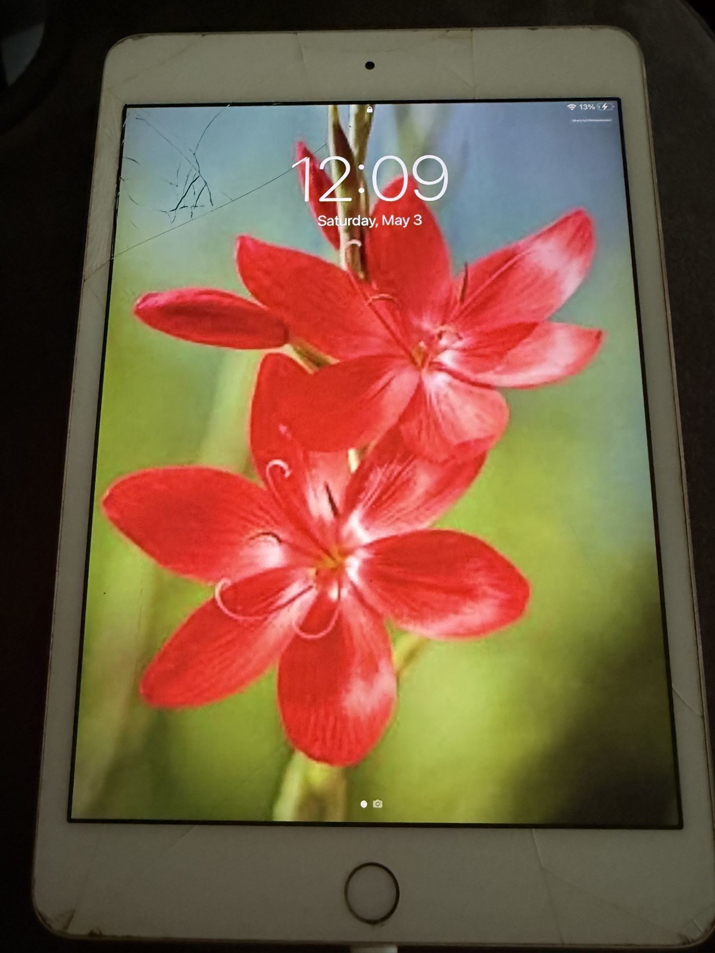 iPad Gold Mini 4 MK9Q2LL/A