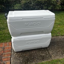 Igloo Maxcold 150qt Coolers