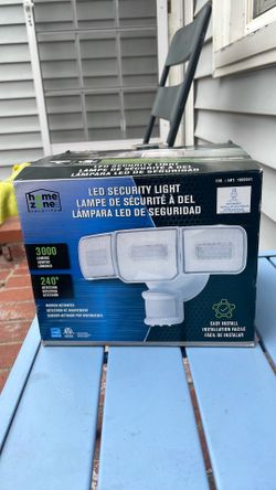 LED security light