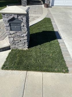Fresh Sod!!