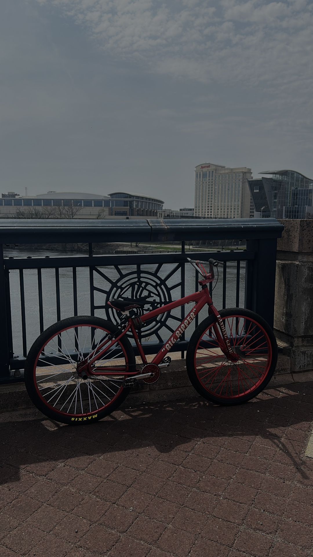 Se Bike Big Ripper 29in