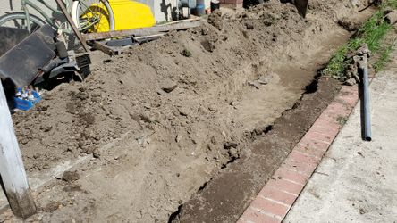 Free Clean Dirt