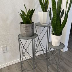 3 Set Plant Bases $65 All 3 