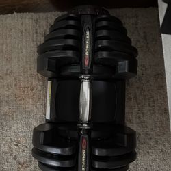Bowflex dumbbells