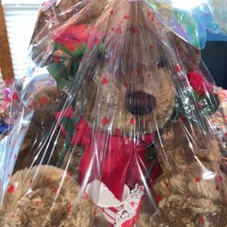 Large Teddy Plush