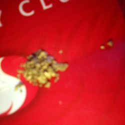 1 Gram Of Lost Dutchman's Gold Nuggets 
