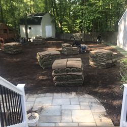 Nice Fresh Sod 