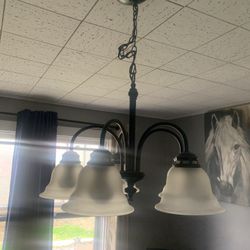 6 Light  Chandelier