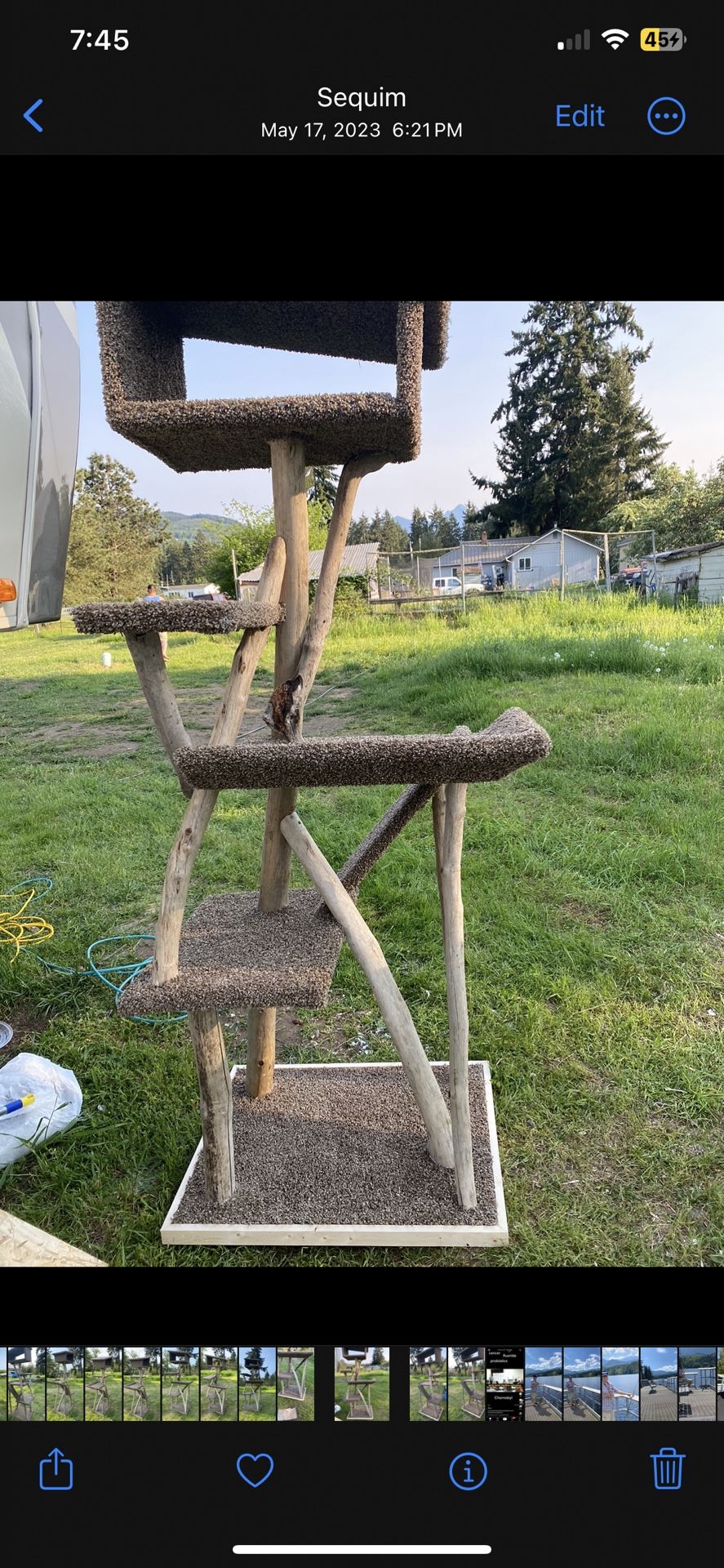 CAT TREE - DRIFTWOOD -