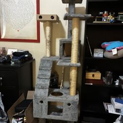 Free Cat Tower