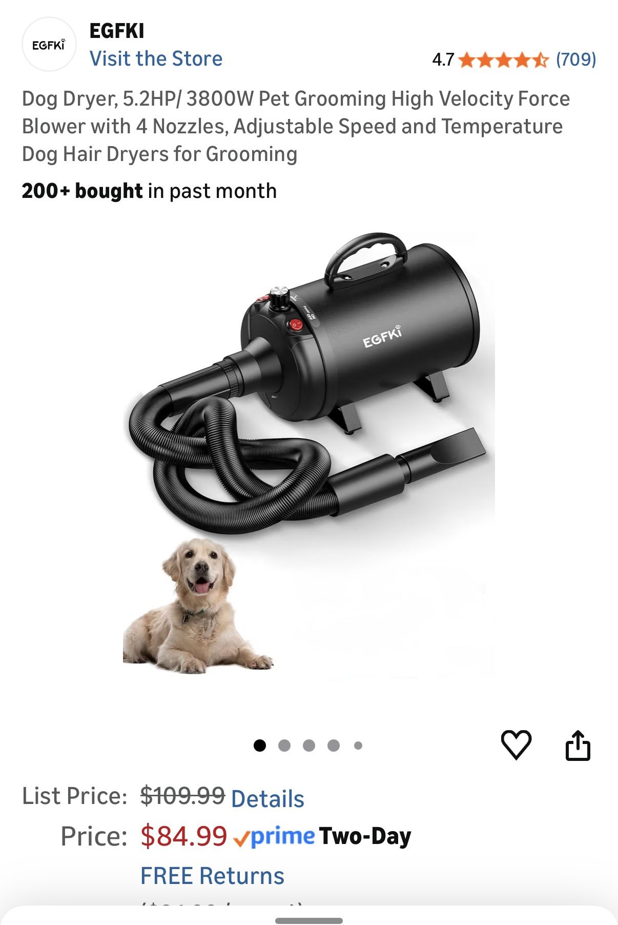 Powerful Quick Dog Hair Dryer