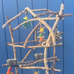 Parrot Perch Tree - Breeder Direct Low Prices … Hard Durable Ribbon Wood 🪵 