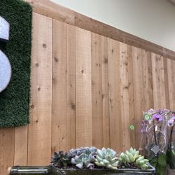 Wine bottle succulent