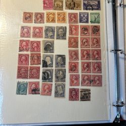Collection